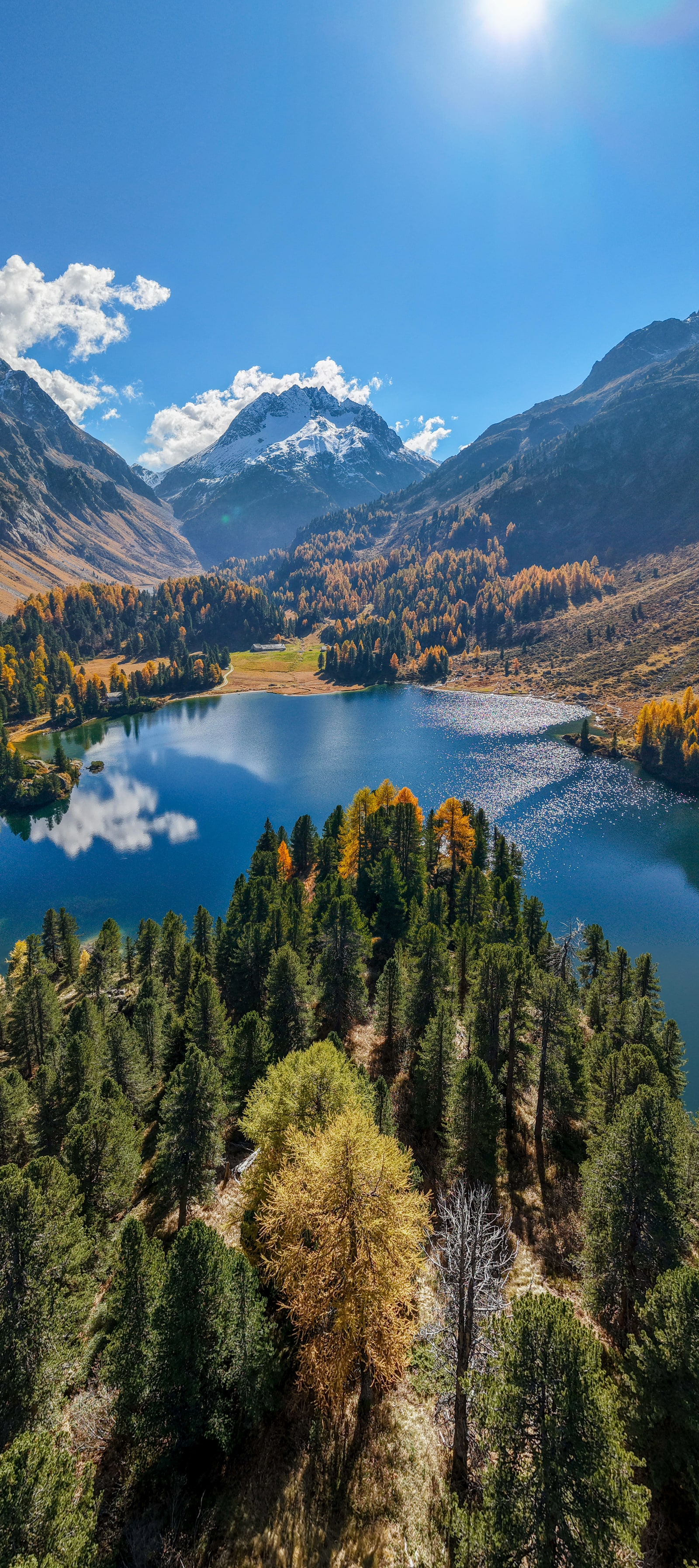 Vertical drone shot of pristine natural landscape showcasing organic patterns, winding paths, and untouched Swiss wilderness